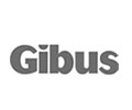 gibus